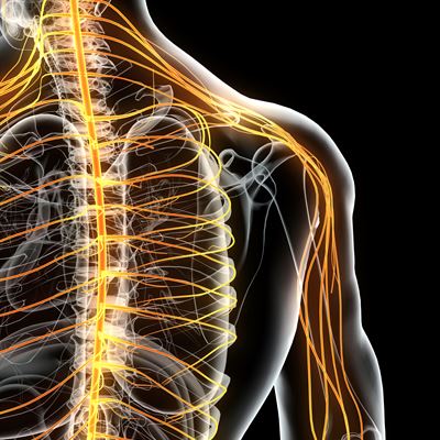 Fibromyalgi Stockholm