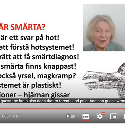 sm&#228;rtkurs1trailer