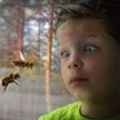 r&#228;dd pojke ser getingar