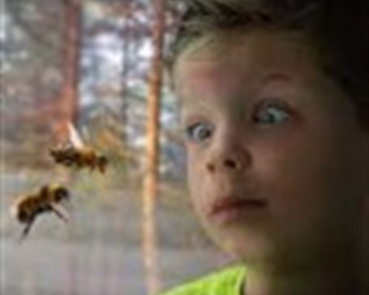 rädd pojke ser getingar