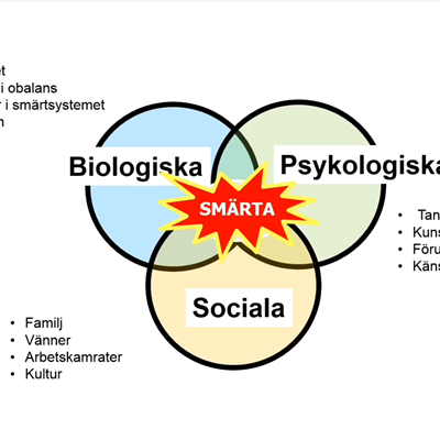 Sk&#228;rmbild 2024-01-27 131553